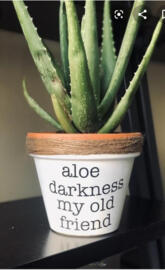 Aloe darkness