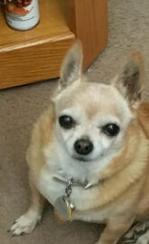 Its allGood InMyHood