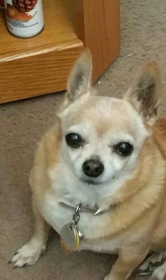 Its allGood InMyHood