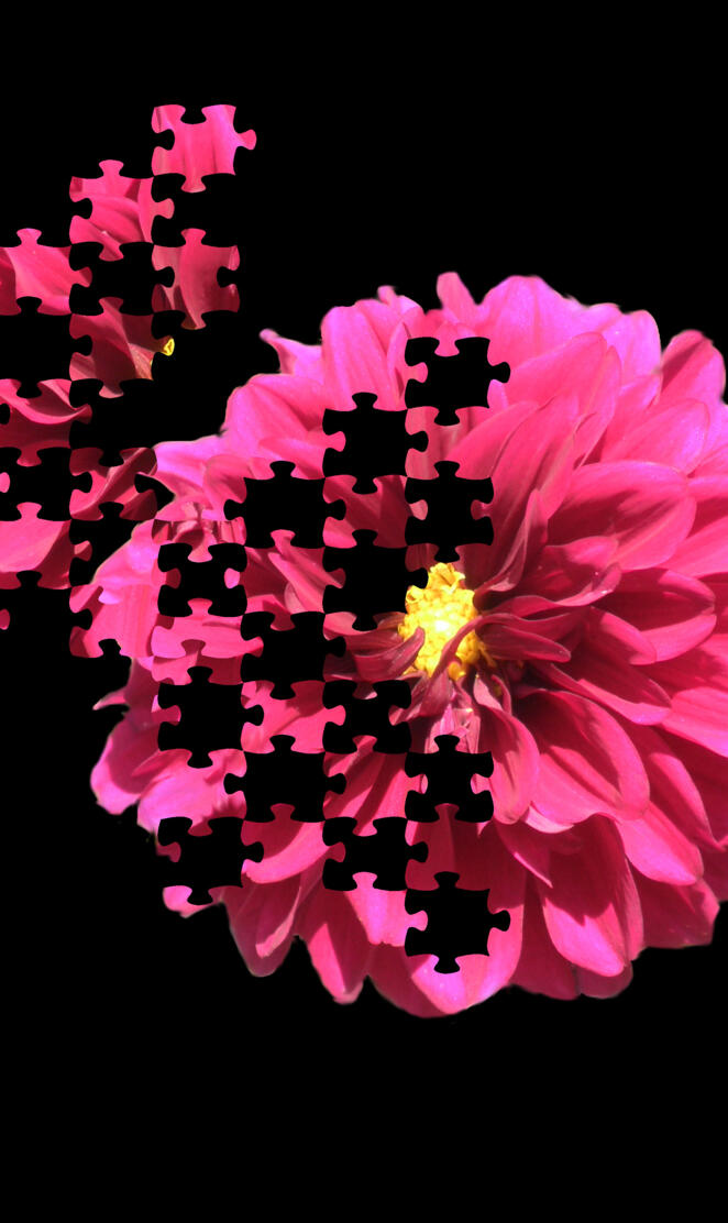 Dalia puzzle