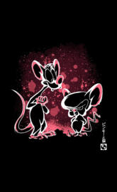 Pinky and the brain