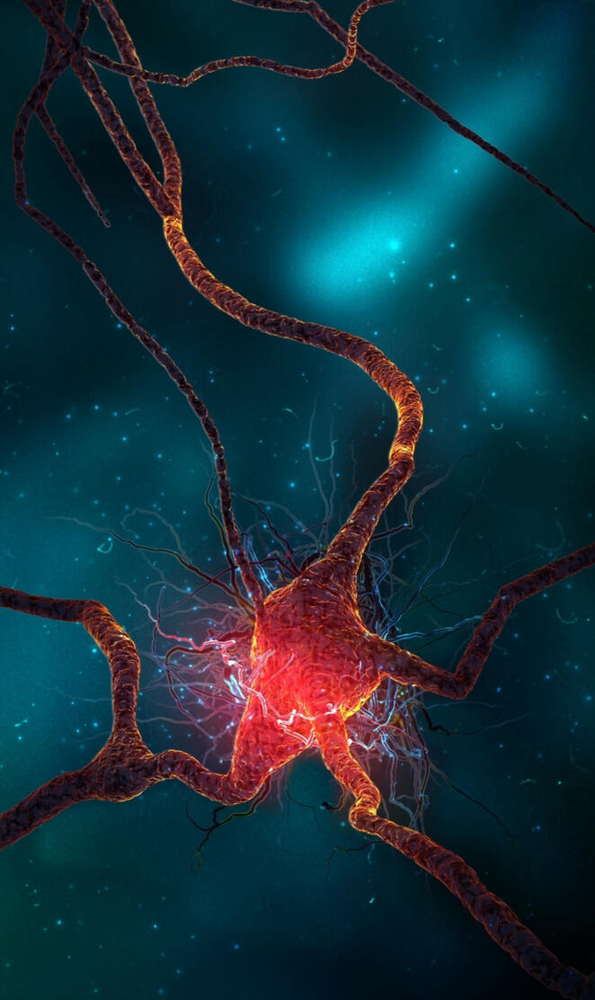 Neuron