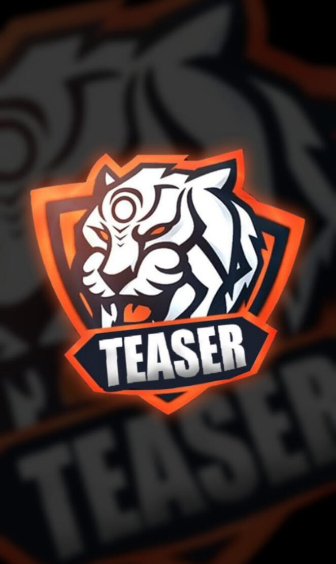TEAM TEASER
