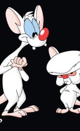 Pinky And The Brain