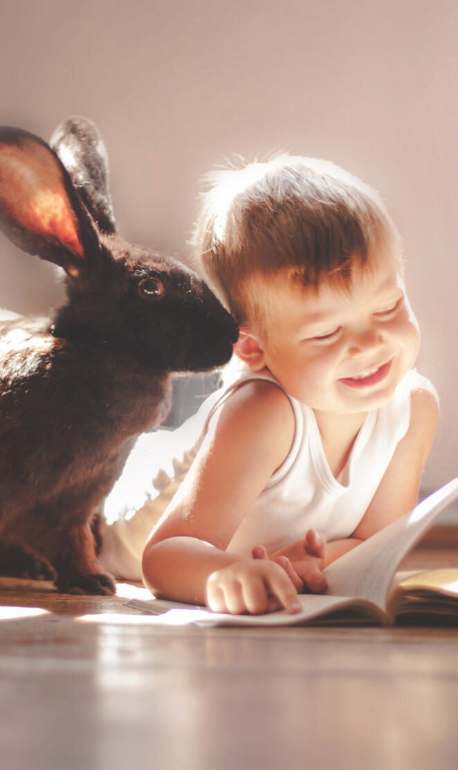 cute rabbit n child