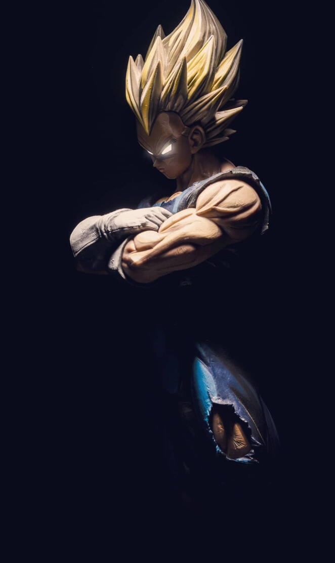 veg- thefunksolbrother