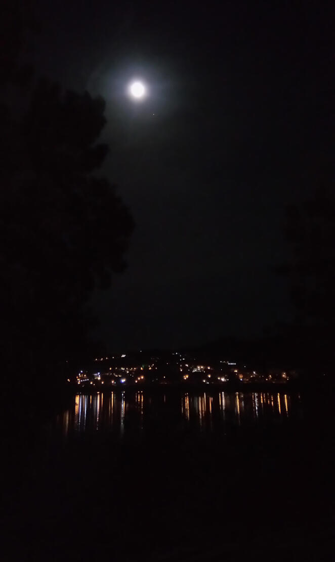 Moonlight on Lake