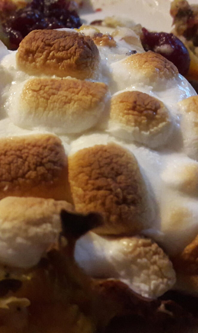 Toasted Marshmallows