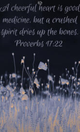 Bible verse