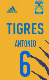 Tigres Femenil