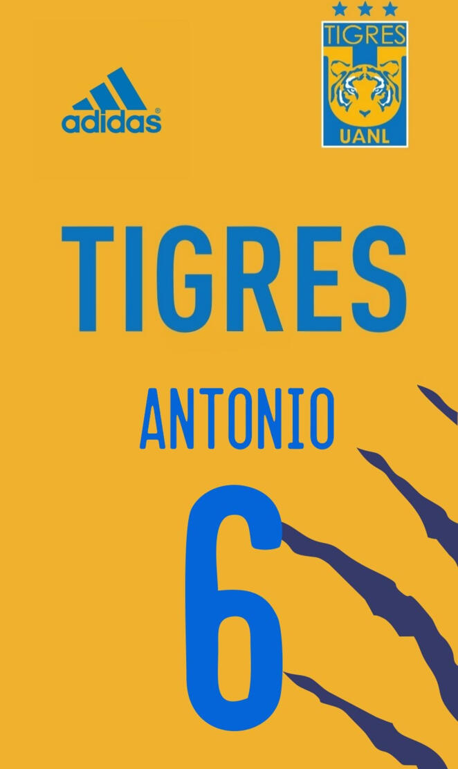 Tigres Femenil