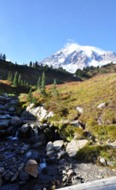 Mount Rainier