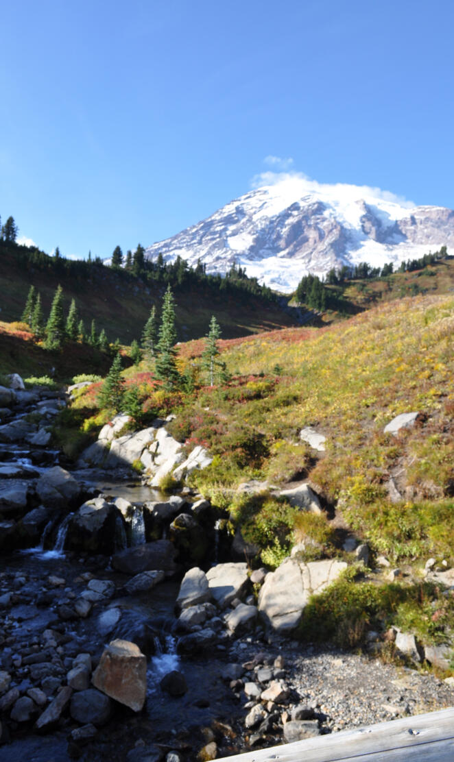Mount Rainier