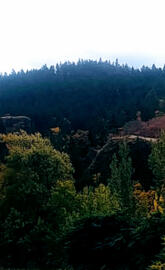 Cowlitz County Hills