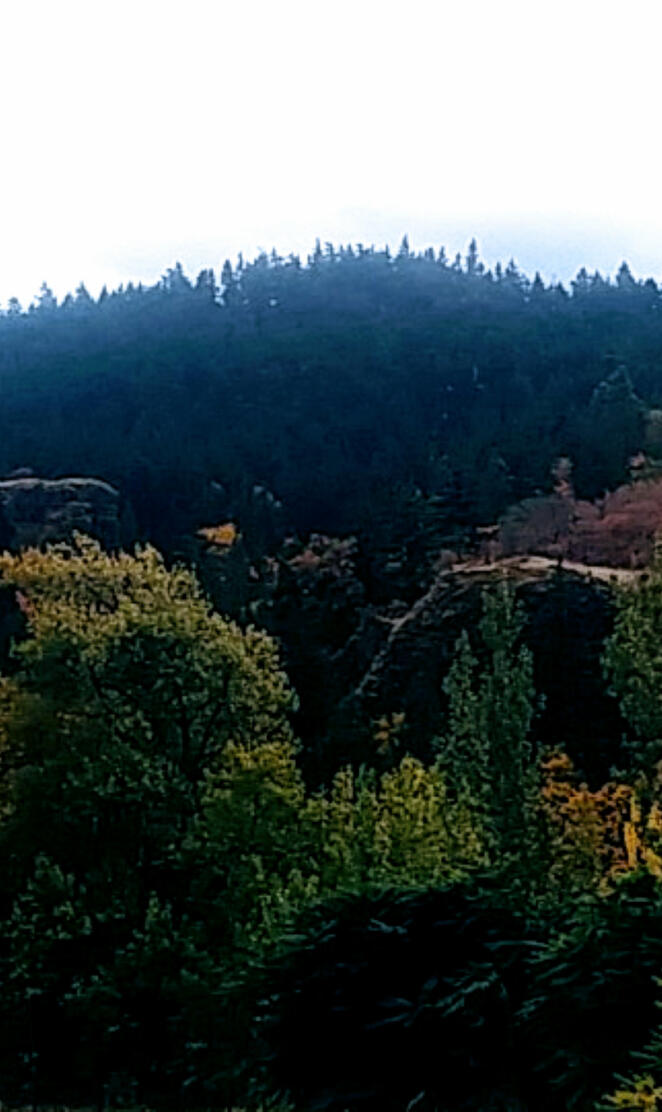 Cowlitz County Hills