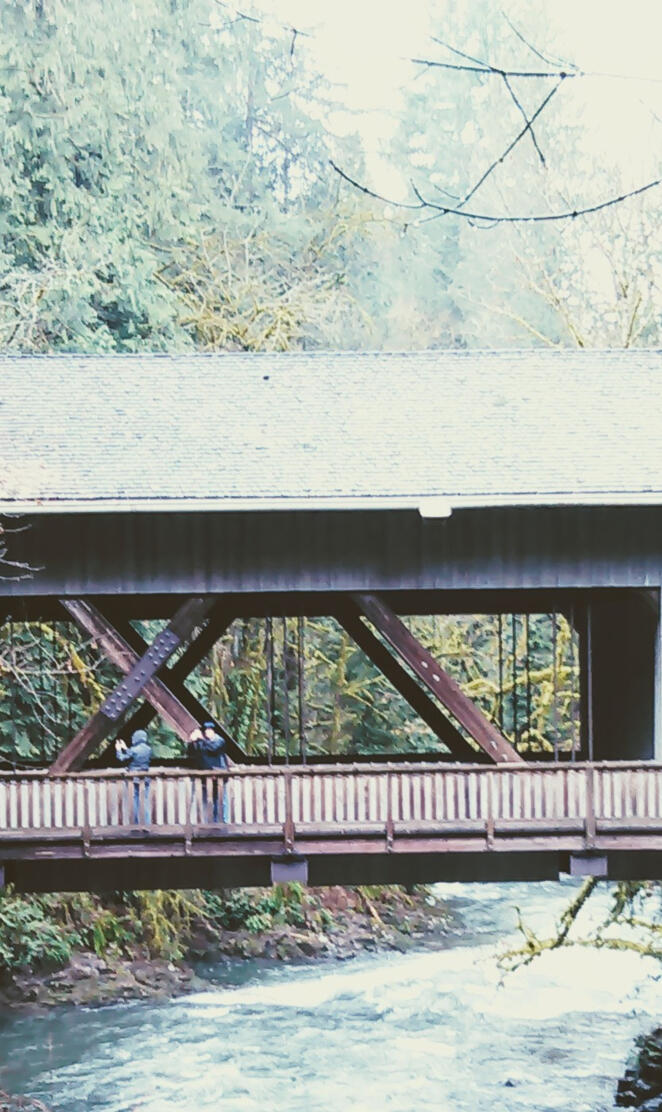 Cedar Creek Bridge