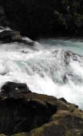 Lewis River Falls 2