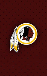 Redskins Jersey