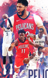 Pelicans New Orleans
