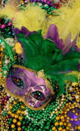Mardi Gras Mask