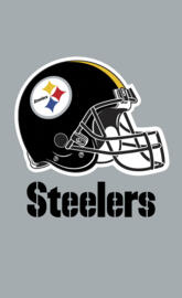 pittsburgh steelers