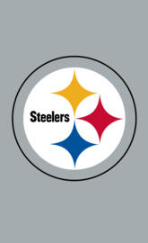 pittsburgh steelers