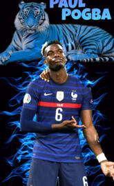 Paul Pogba Francia