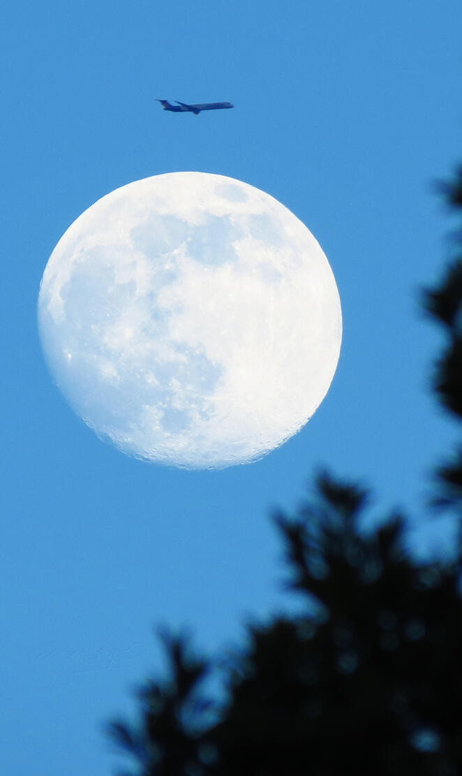 Moon and plane