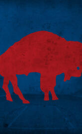 Buffalo bills