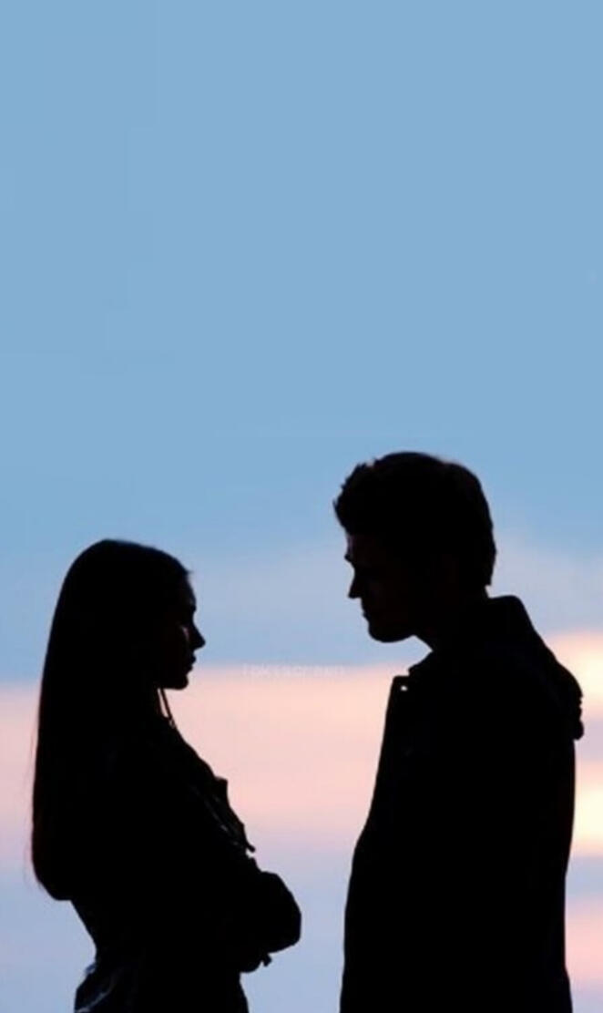 Stefan Elena Stelena