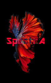 SpectrA Fish 2