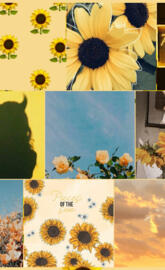 Fotos amarillas cool