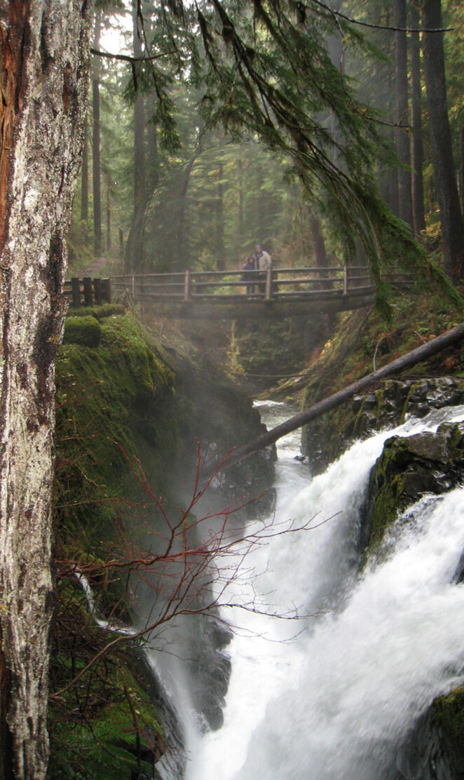 Sol Duc Falls WA