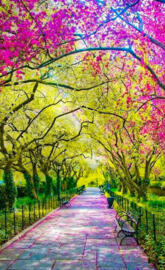 Parque Rosa
