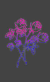 Rosas neon Bisexual