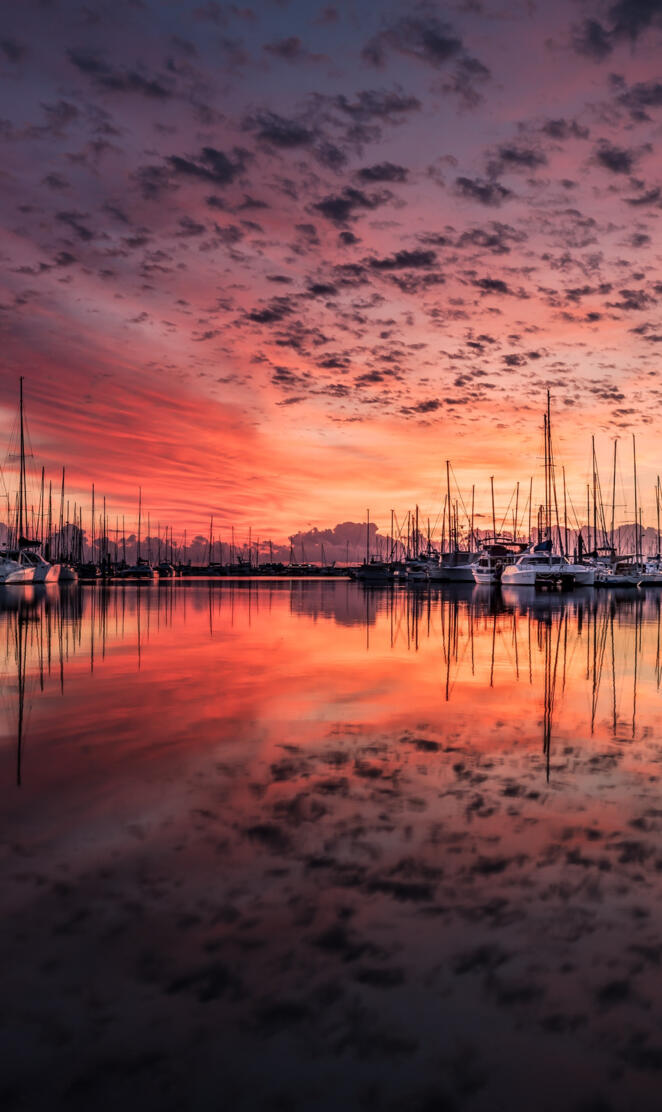 Sunset in the port 1