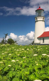 Cape Blanco