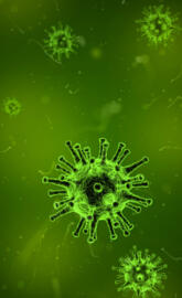 Coronavirus