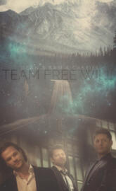 Team Free Will