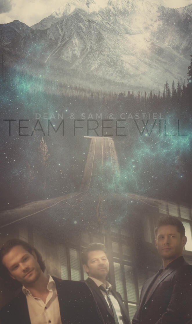 Team Free Will