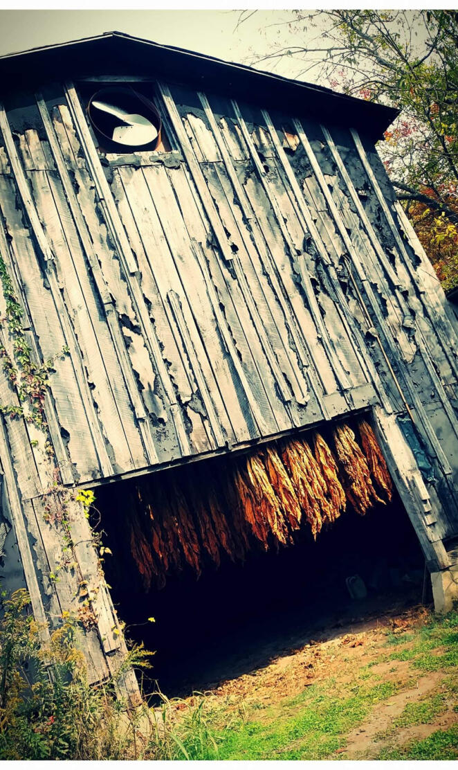 Tobacco Barn
