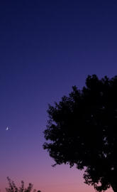 Venus and the moon