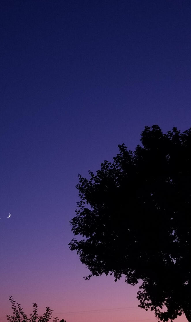 Venus and the moon