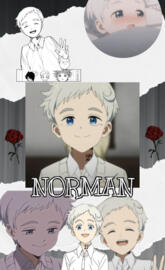 Norman TPN
