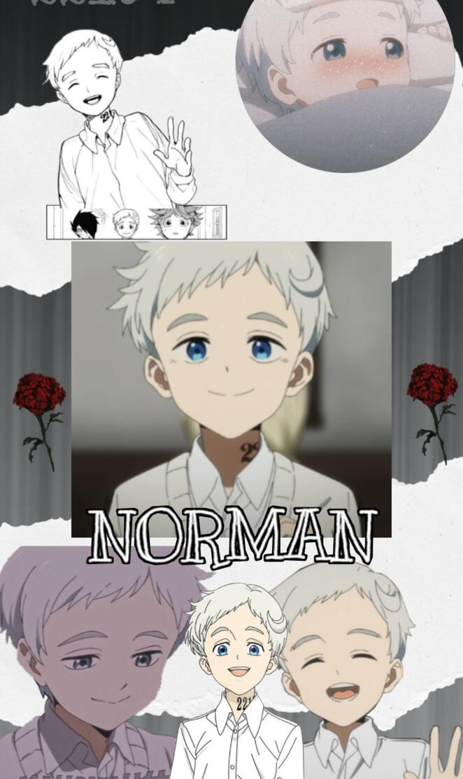 Norman TPN