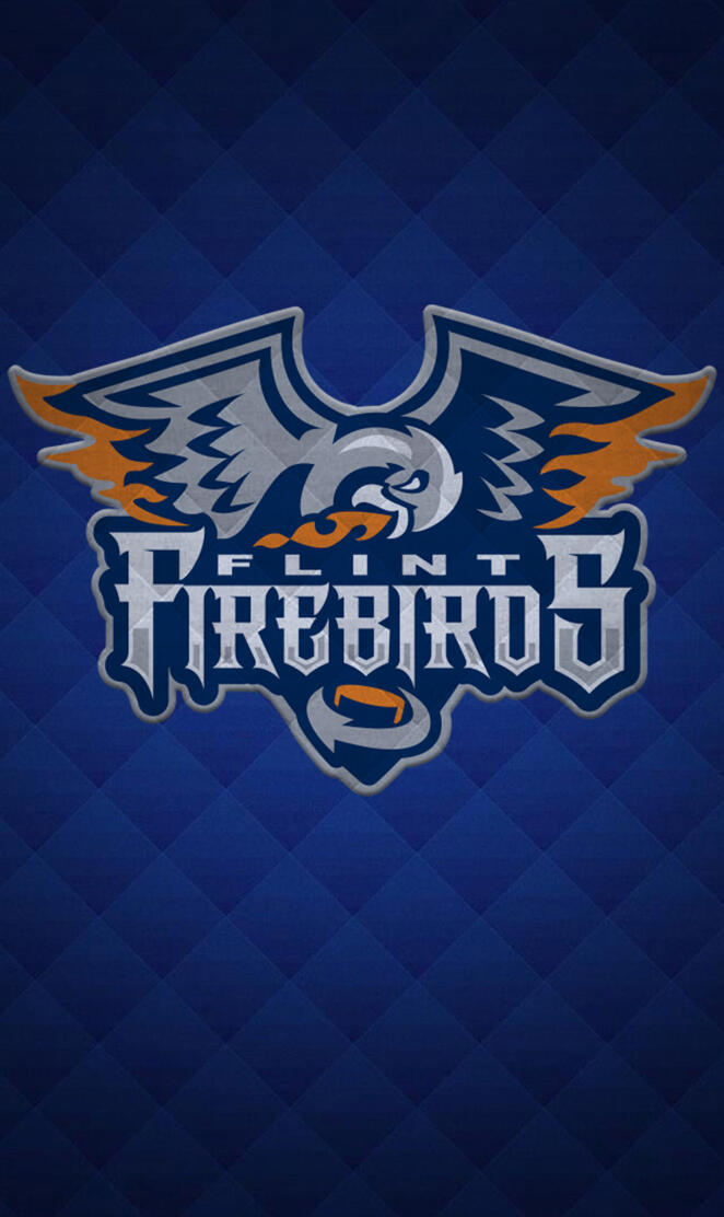 Flint Firebirds - 4