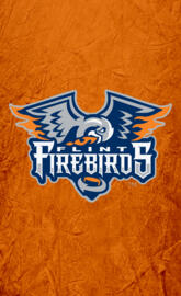 Flint Firebirds - 1