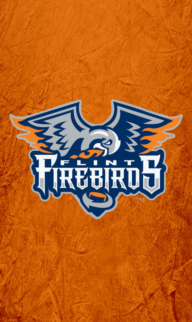 Flint Firebirds - 1