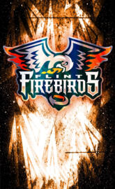 Flint Firebirds - 4