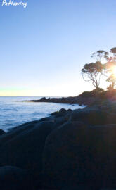 Tasmania Bay